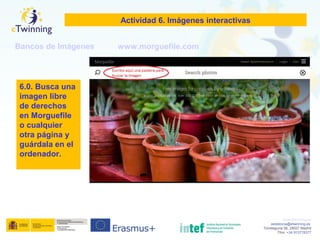 www.etwinning.es
asistencia@etwinning.es
Torrelaguna 58, 28027 Madrid
Tfno: +34 913778377
Actividad 6. Imágenes interactivas
Bancos de Imágenes www.morguefile.com
6.0. Busca una
imagen libre
de derechos
en Morguefile
o cualquier
otra página y
guárdala en el
ordenador.
 