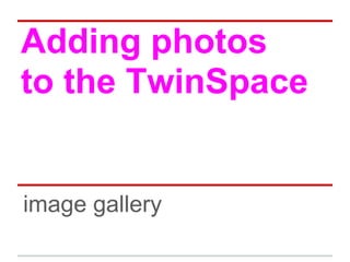 Adding photos
to the TwinSpace
image gallery
 