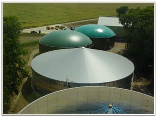 Twinwoods Case Study