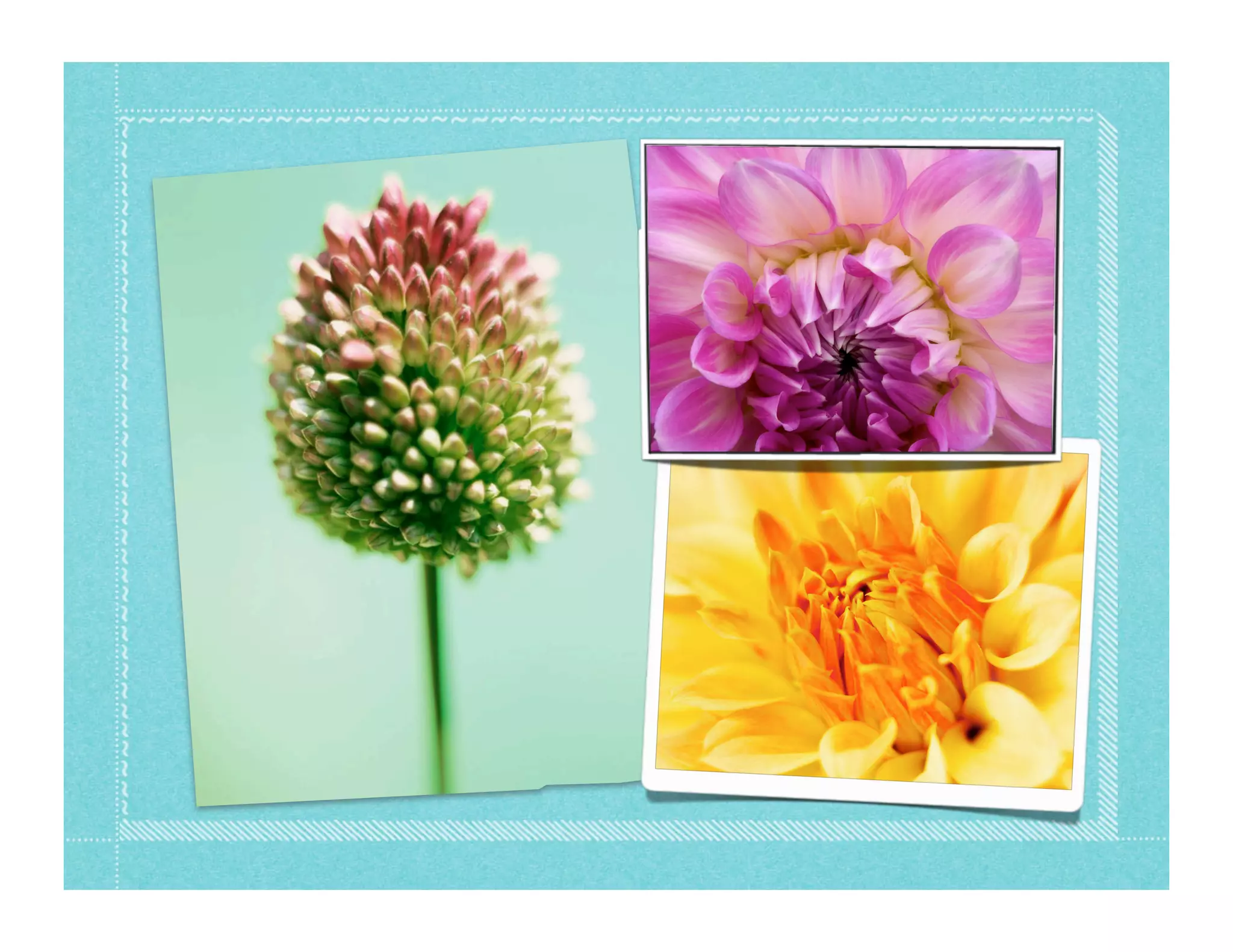 Jordan Kay's Twitter API tour