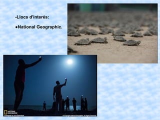 -Llocs d'interés:
●National Geographic.
 