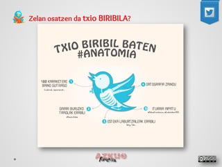 Zelan osatzen da txio BIRIBILA?  