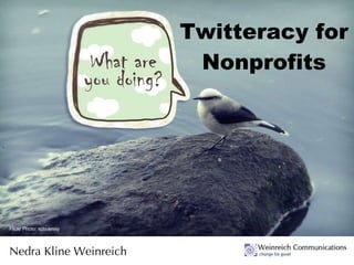 Twitteracy for Nonprofits Nedra Kline Weinreich Flickr Photo: spbuenno 