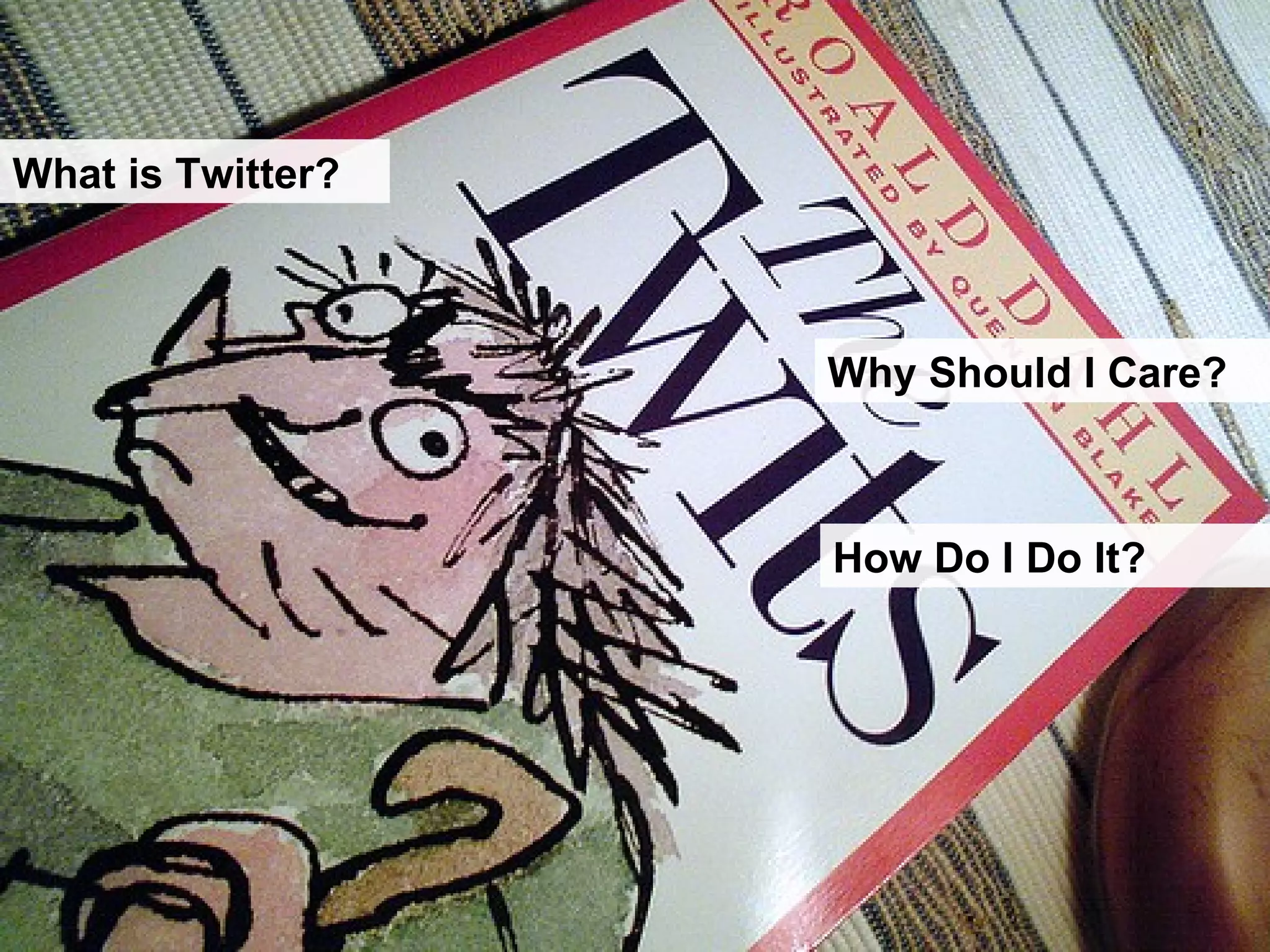 What is Twitter? Why Should I Care? How Do I Do It? 