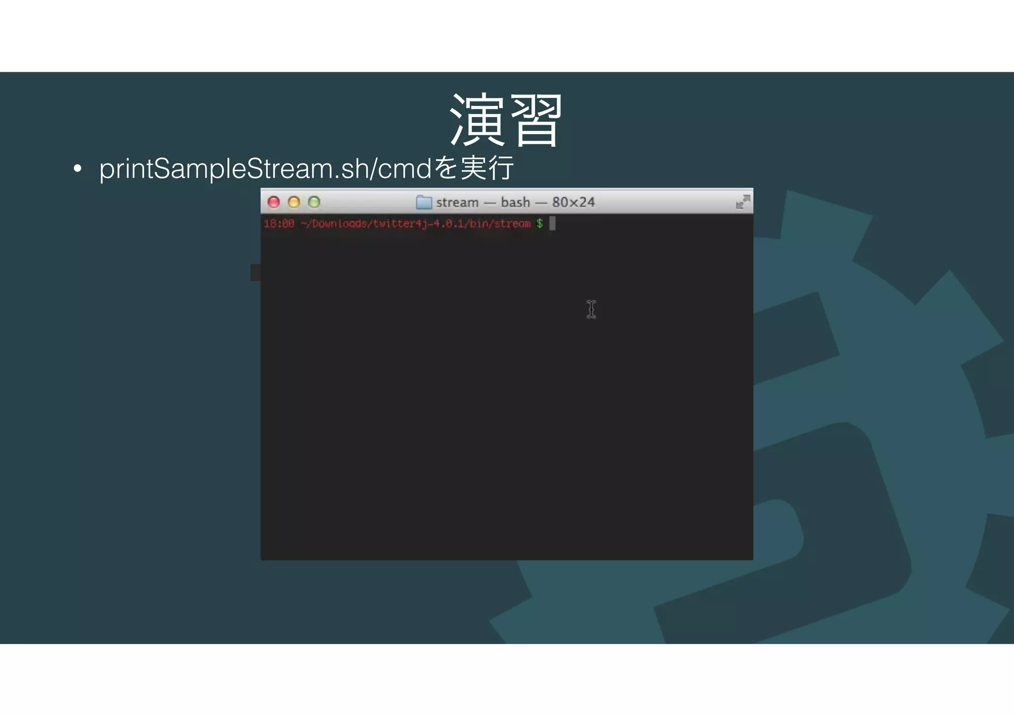 演習
• printSampleStream.sh/cmdを実行
 