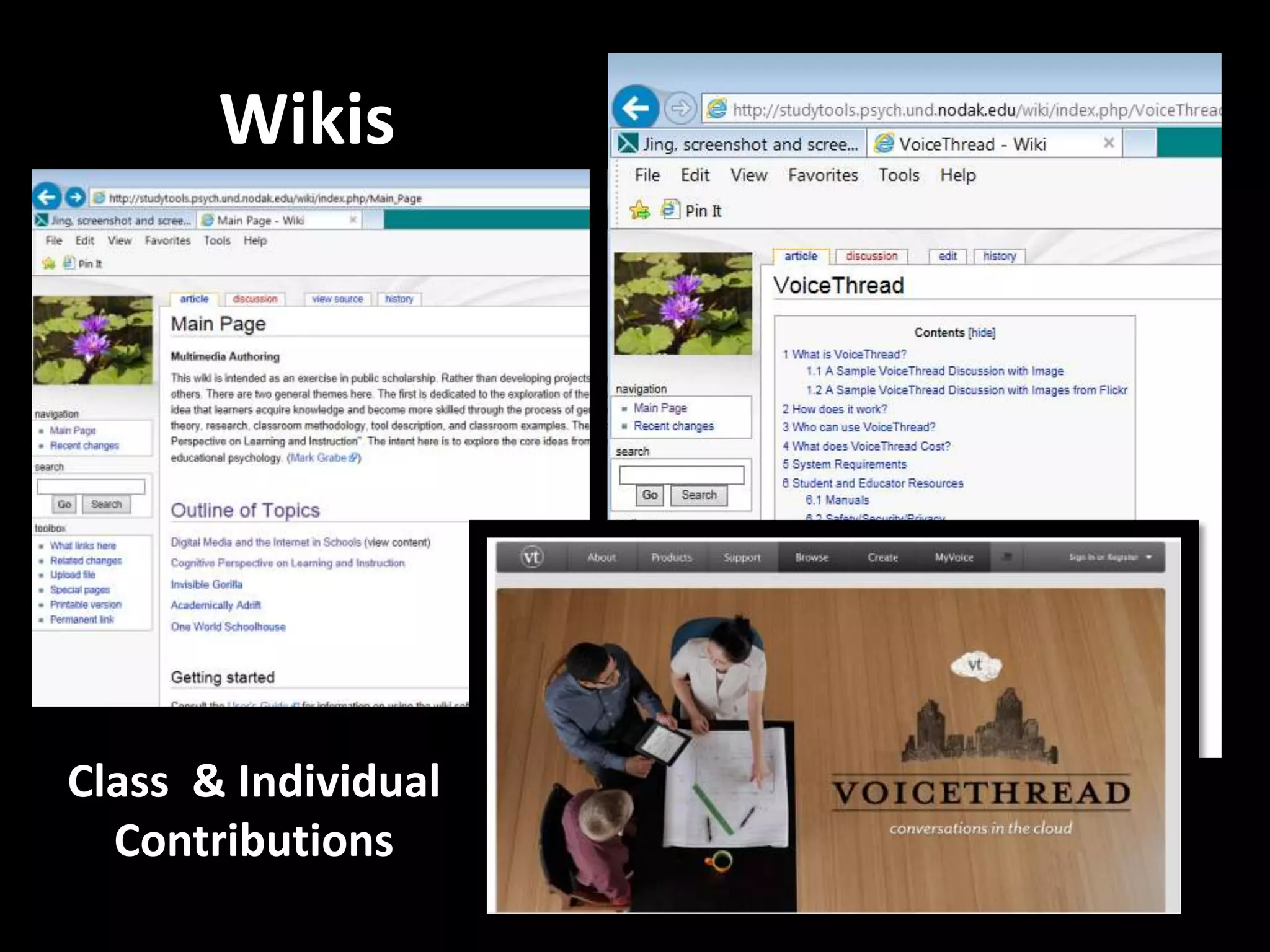 Wikis
Class & Individual
Contributions
 