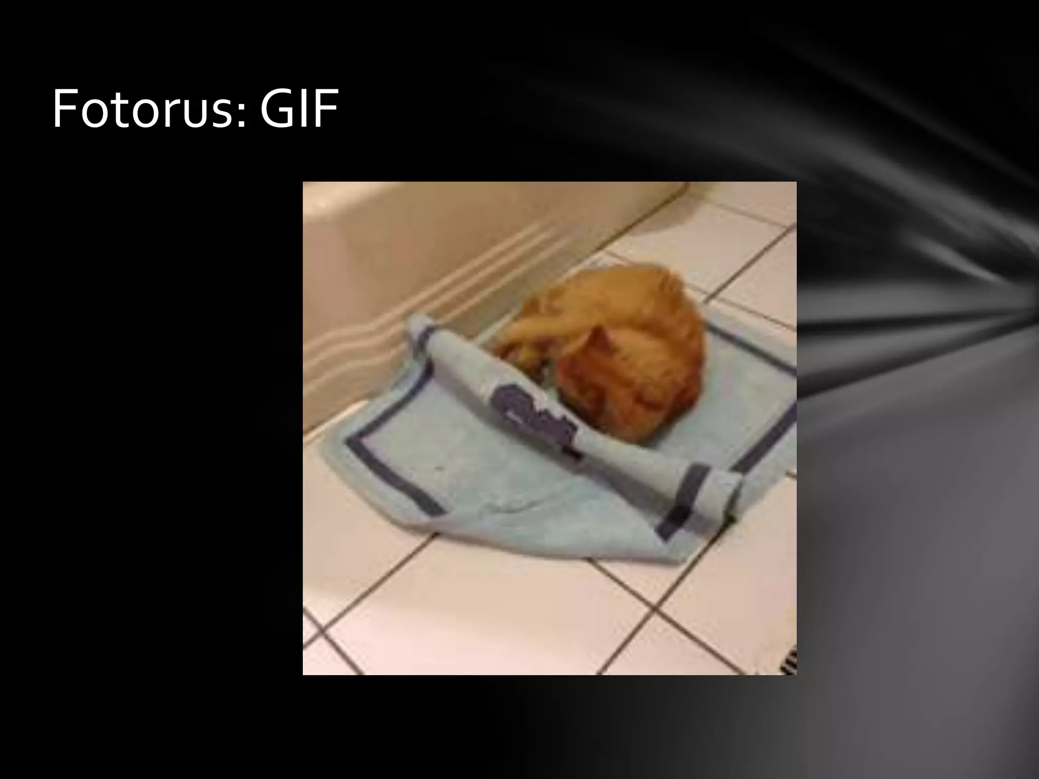 Fotorus: GIF
 