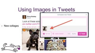 Using Images in Tweets
• New collages
29
 