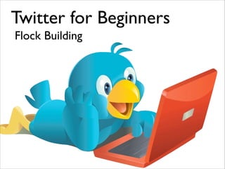 Twitter for Beginners
Flock Building

 