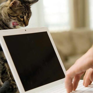 W hy Yo u N e e d to J o i n Tw i t te r R i g h t N ow   13
 