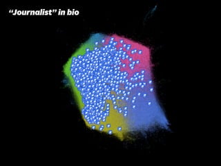 “Journalist” in bio
 