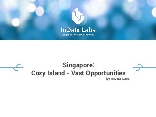 Singapore:
Cozy Island - Vast Opportunities
by InData Labs
 