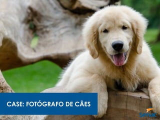 CASE: FOTÓGRAFO DE CÃES
 