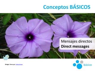 Conceptos BÁSICOS<br />Mensajes directos<br />Directmessages<br />básico<br />Image: Flores por  holacomovai<br />