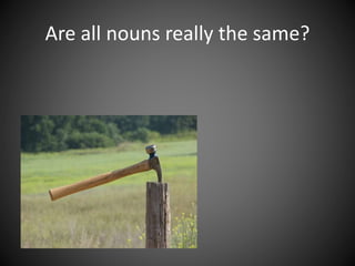 Are all nouns really the same?
 