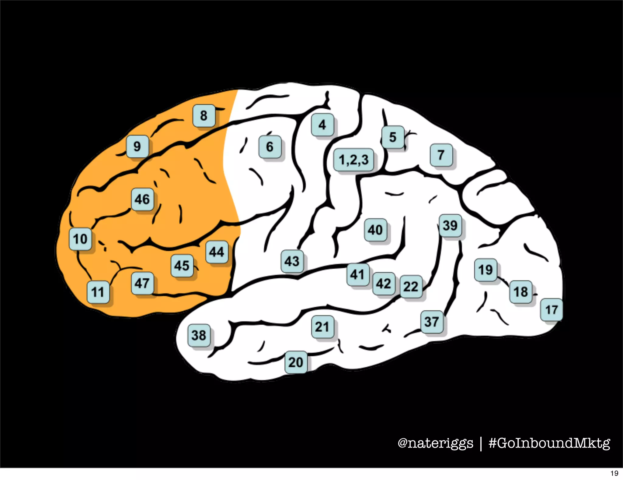 Ann Graybiel, PhD
McGovern Institute for Brain
Research at MIT
@nateriggs | #GoInboundMktg
20
 