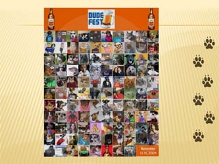 Kristin Dewey: How to Pawty like an Anipal