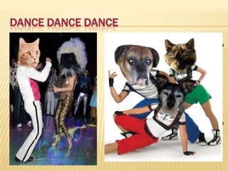 DANCE DANCE DANCE
 