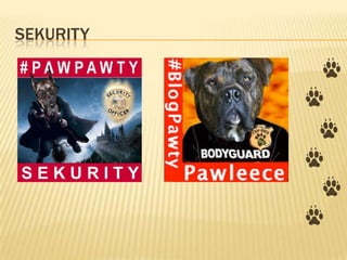SEKURITY
 