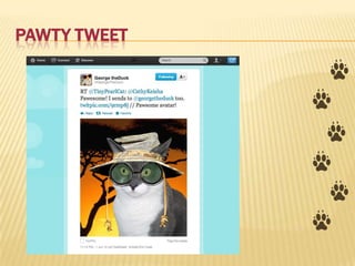 PAWTY TWEET
 
