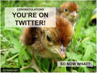 CONGRATULATIONS YOU’RE ON TWITTER! SO NOW WHAT? photo by chidorian by @amysept 
