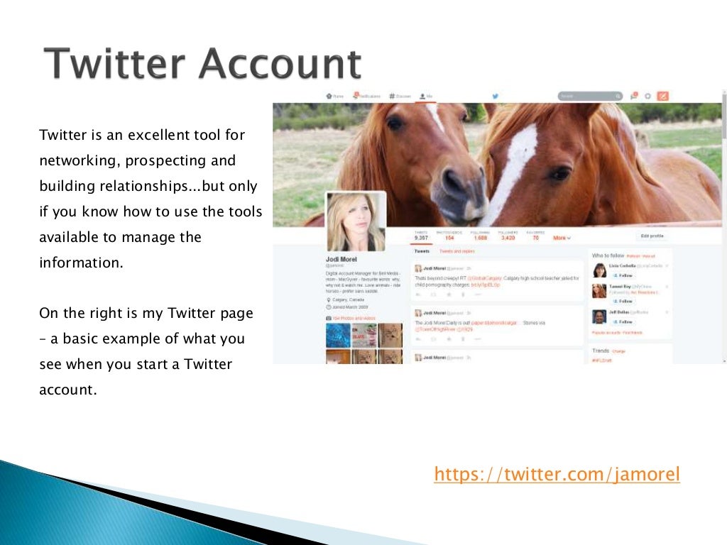 Twitter Information Management