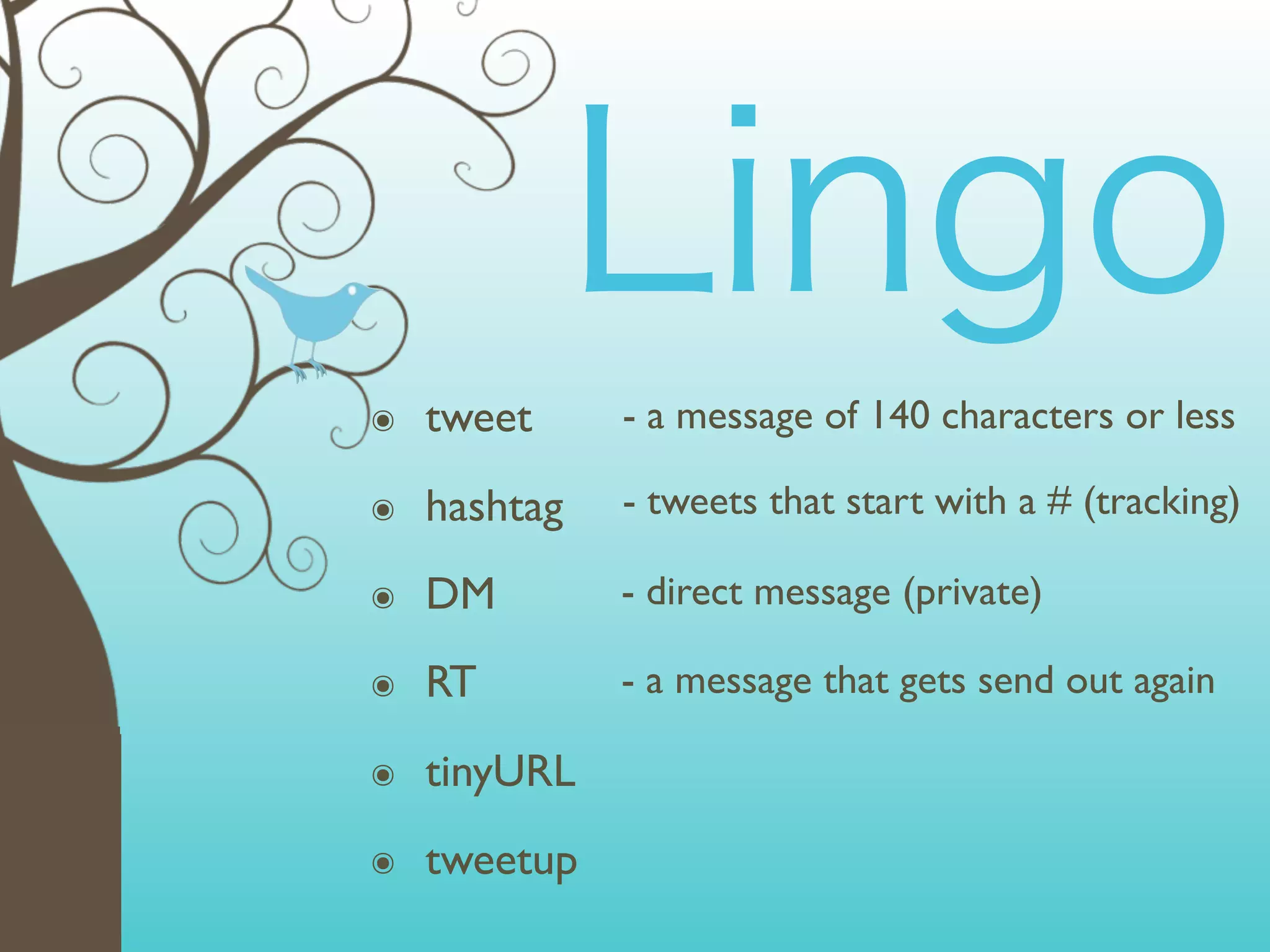๏   tweet     - a message of 140 characters or less

๏   hashtag   - tweets that start with a # (tracking)

๏   DM        - direct message (private)

๏   RT        - a message that gets send out again

๏   tinyURL
๏   tweetup
 
