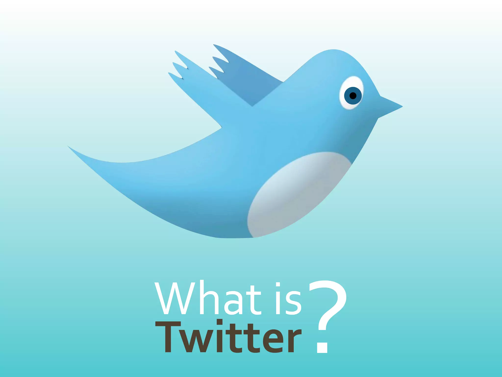 What	
  is
Twitter      ?
 
