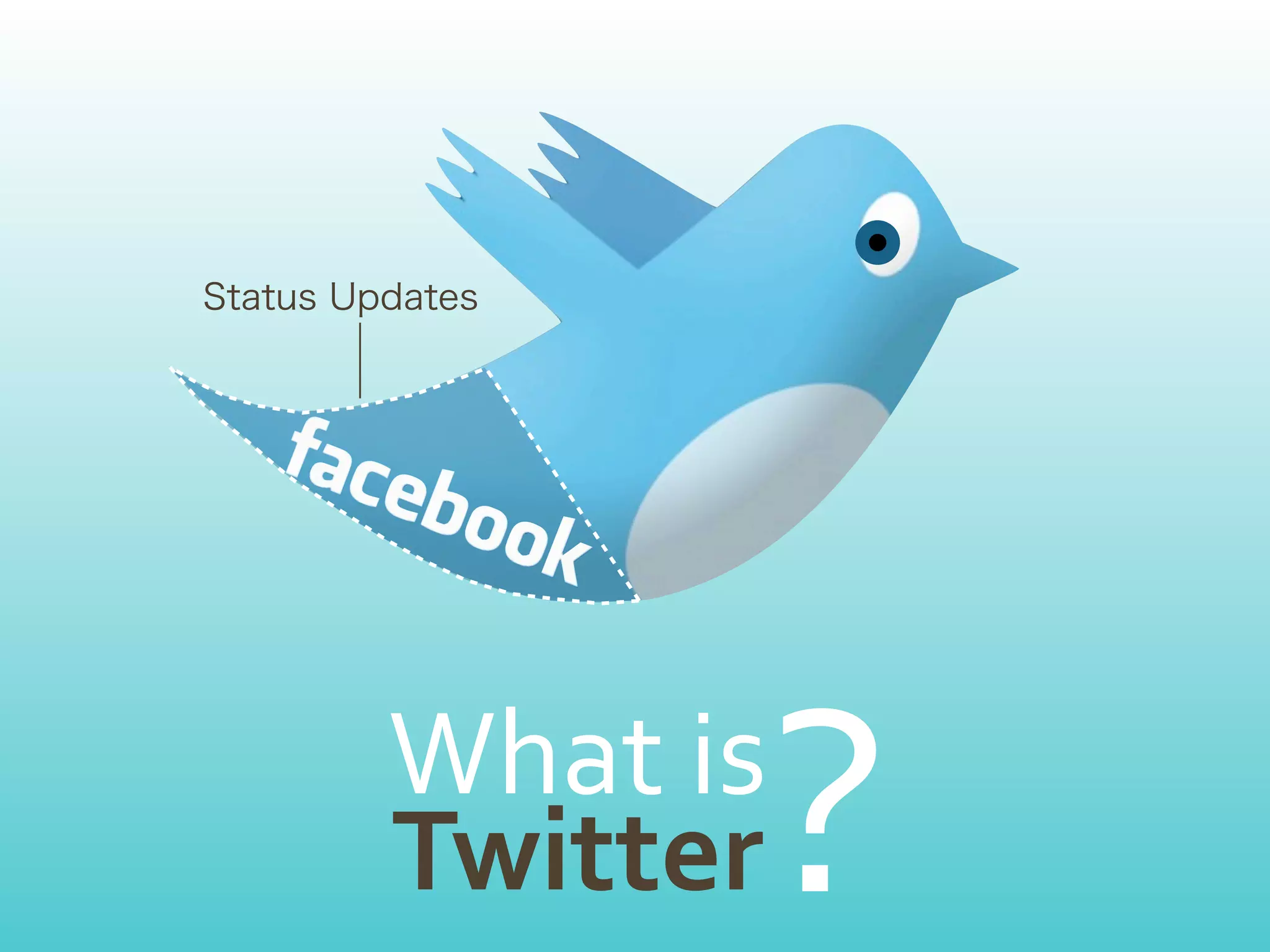 What	
  is
Twitter      ?
 