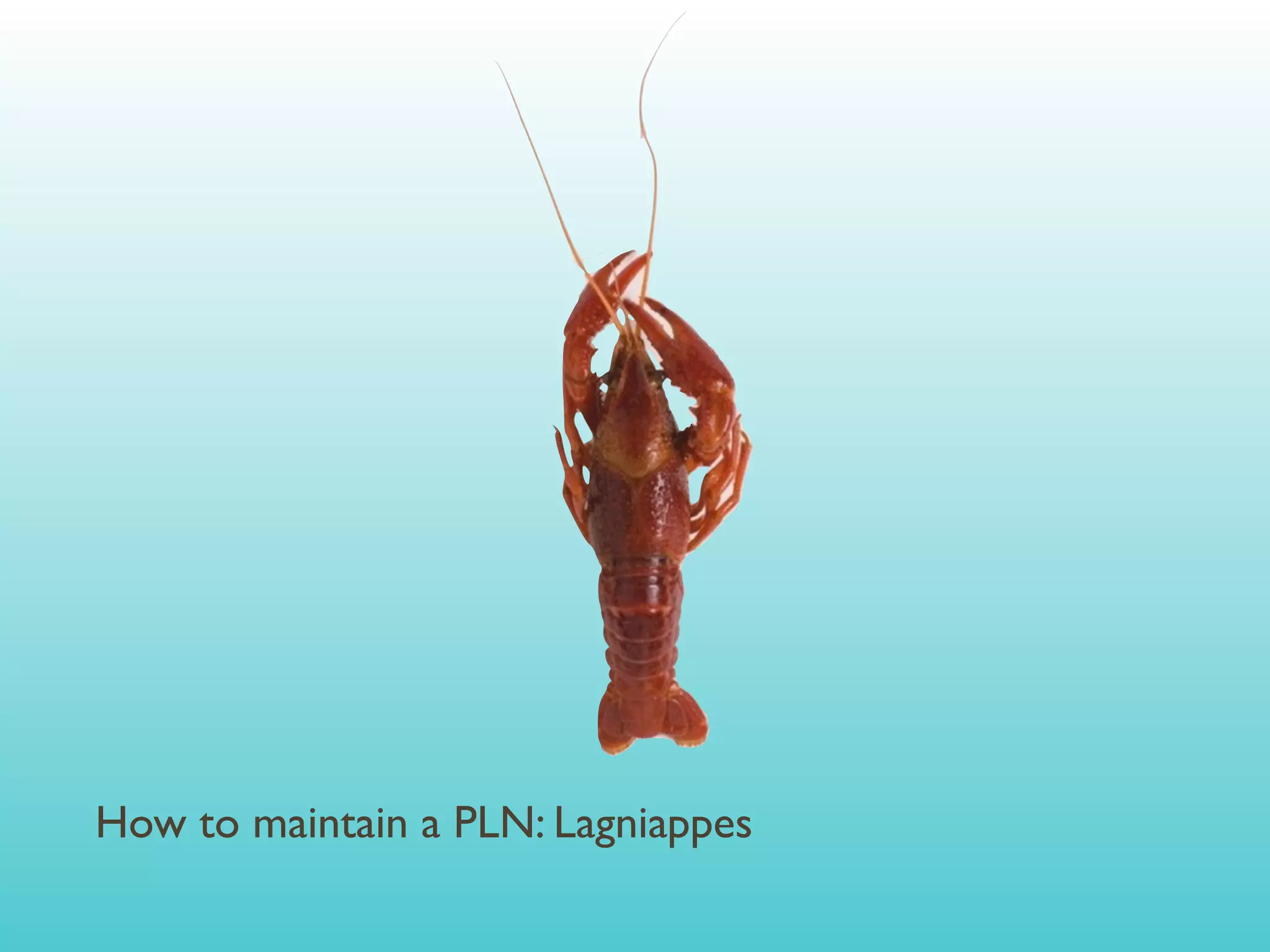 How to maintain a PLN: Lagniappes
 