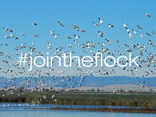 #jointheflock
 