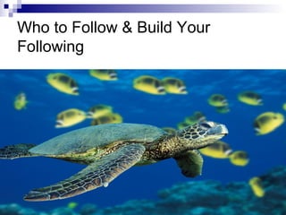 Who to Follow & Build Your
Following
 