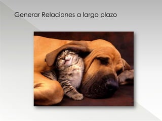 Generar Relaciones a largo plazo
 