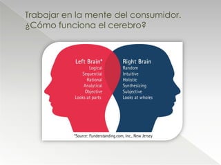 Trabajar en la mente del consumidor.
¿Cómo funciona el cerebro?
 