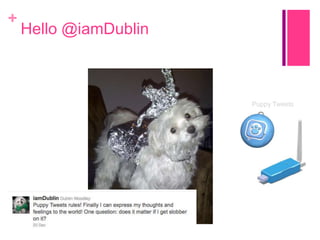 +

Hello @iamDublin

Puppy Tweets

 