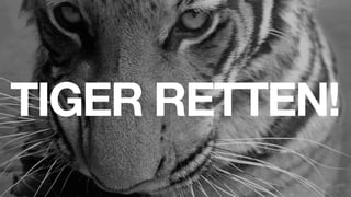TIGER RETTEN!
            6
 
