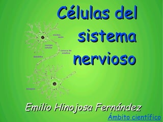 Células del
sistema
nervioso
Emilio Hinojosa Fernández

Ámbito científico

 
