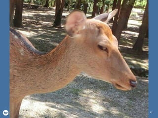 twMVC #25 – ASP.NET MVC A/B Testing 17
 