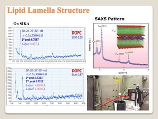 SAXS Pattern
Lipid Lamella Structure
On SIKA
 