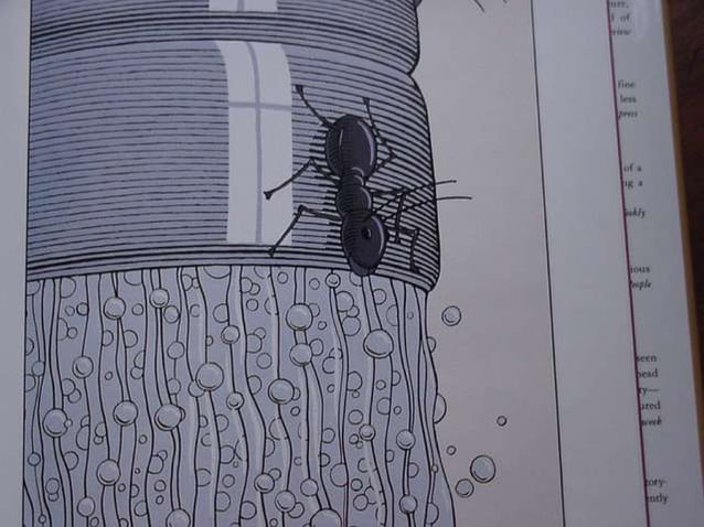 Two Bad Ants Ppt Day 2 Pic Review