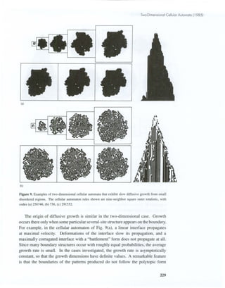 Two dimensional-cellular-automata | PDF