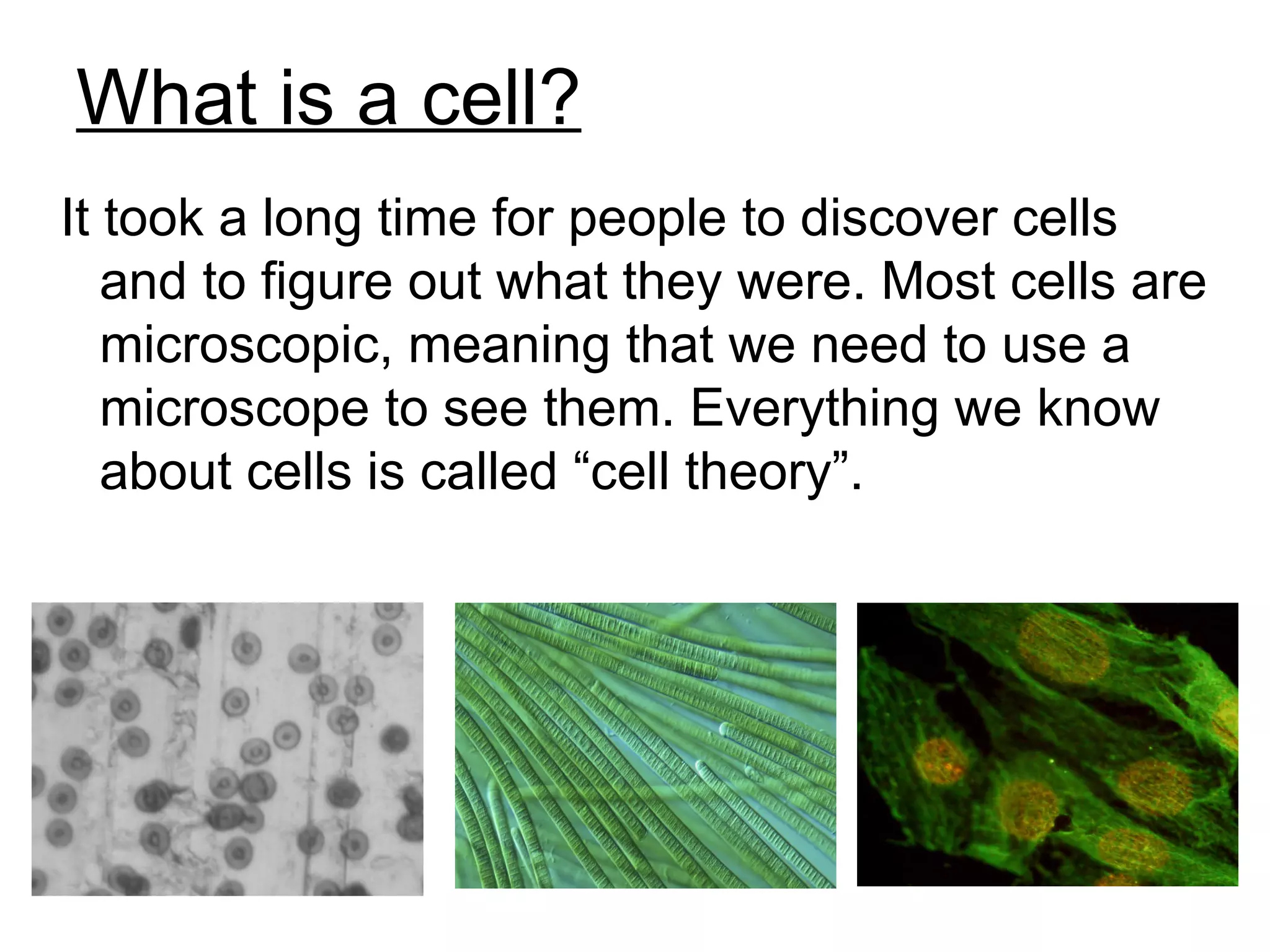 What is a cell?
It took a long time for people to discover cells
   and to figure out what they were. Most cells are
   microscopic, meaning that we need to use a
   microscope to see them. Everything we know
   about cells is called “cell theory”.
 
