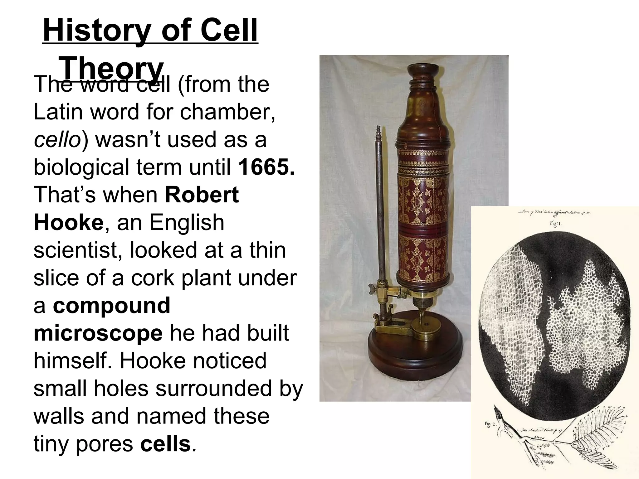 History of Cell
  Theory
The word cell (from the
Latin word for chamber,
cello) wasn’t used as a
biological term until 1665.
That’s when Robert
Hooke, an English
scientist, looked at a thin
slice of a cork plant under
a compound
microscope he had built
himself. Hooke noticed
small holes surrounded by
walls and named these
tiny pores cells.
 