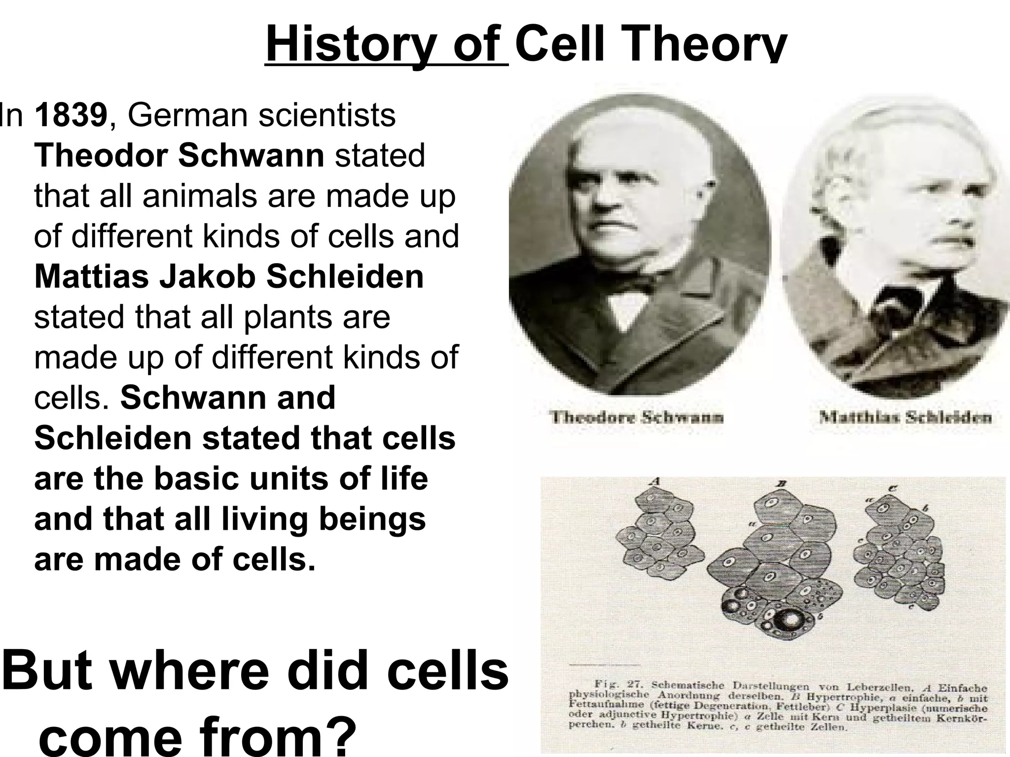 History of Cell Theory
In 1839, German scientists
   Theodor Schwann stated
   that all animals are made up
   of different kinds of cells and
   Mattias Jakob Schleiden
   stated that all plants are
   made up of different kinds of
   cells. Schwann and
   Schleiden stated that cells
   are the basic units of life
   and that all living beings
   are made of cells.


But where did cells
 come from?
 