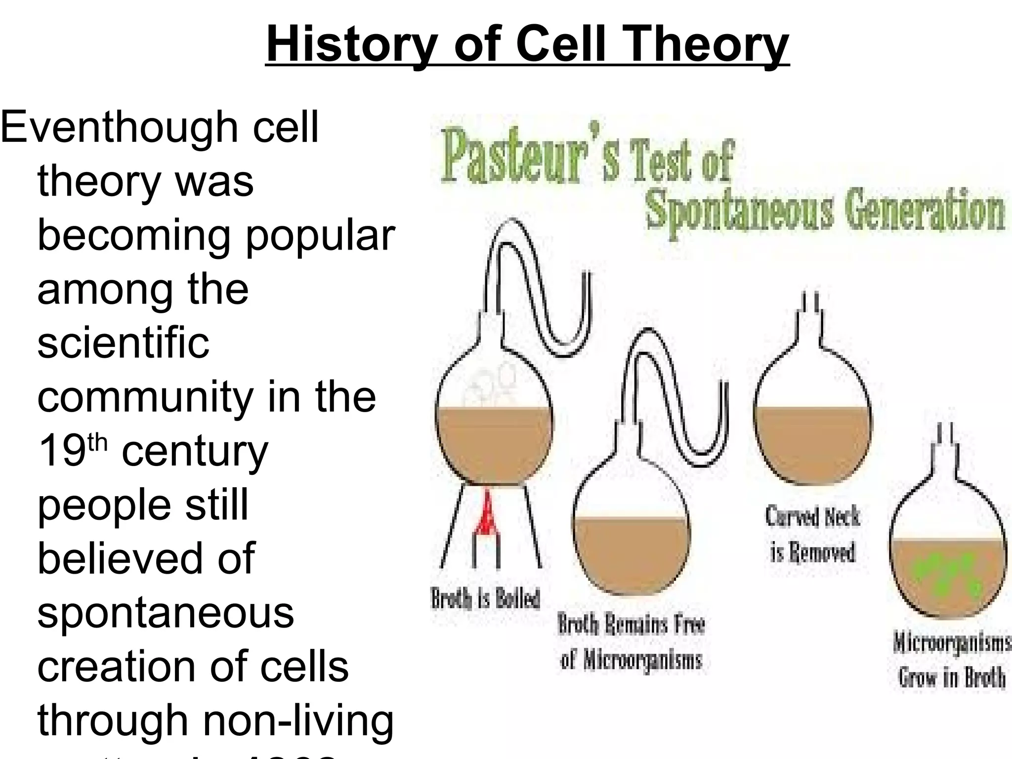 History of Cell Theory
Eventhough cell
 theory was
 becoming popular
 among the
 scientific
 community in the
 19th century
 people still
 believed of
 spontaneous
 creation of cells
 through non-living
 