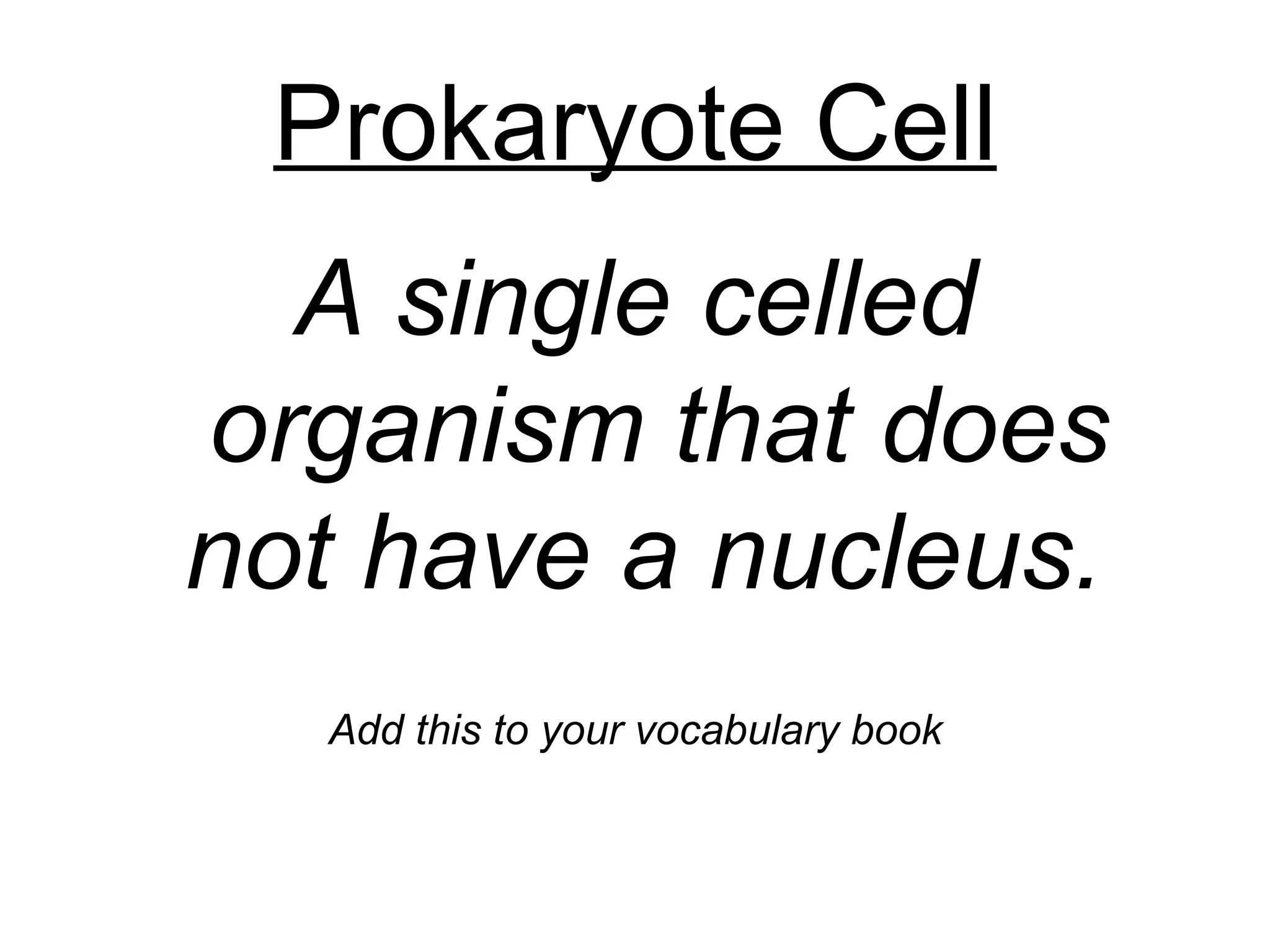 Prokaryote Cell
  A single celled
organism that does
not have a nucleus.
  Add this to your vocabulary book
 