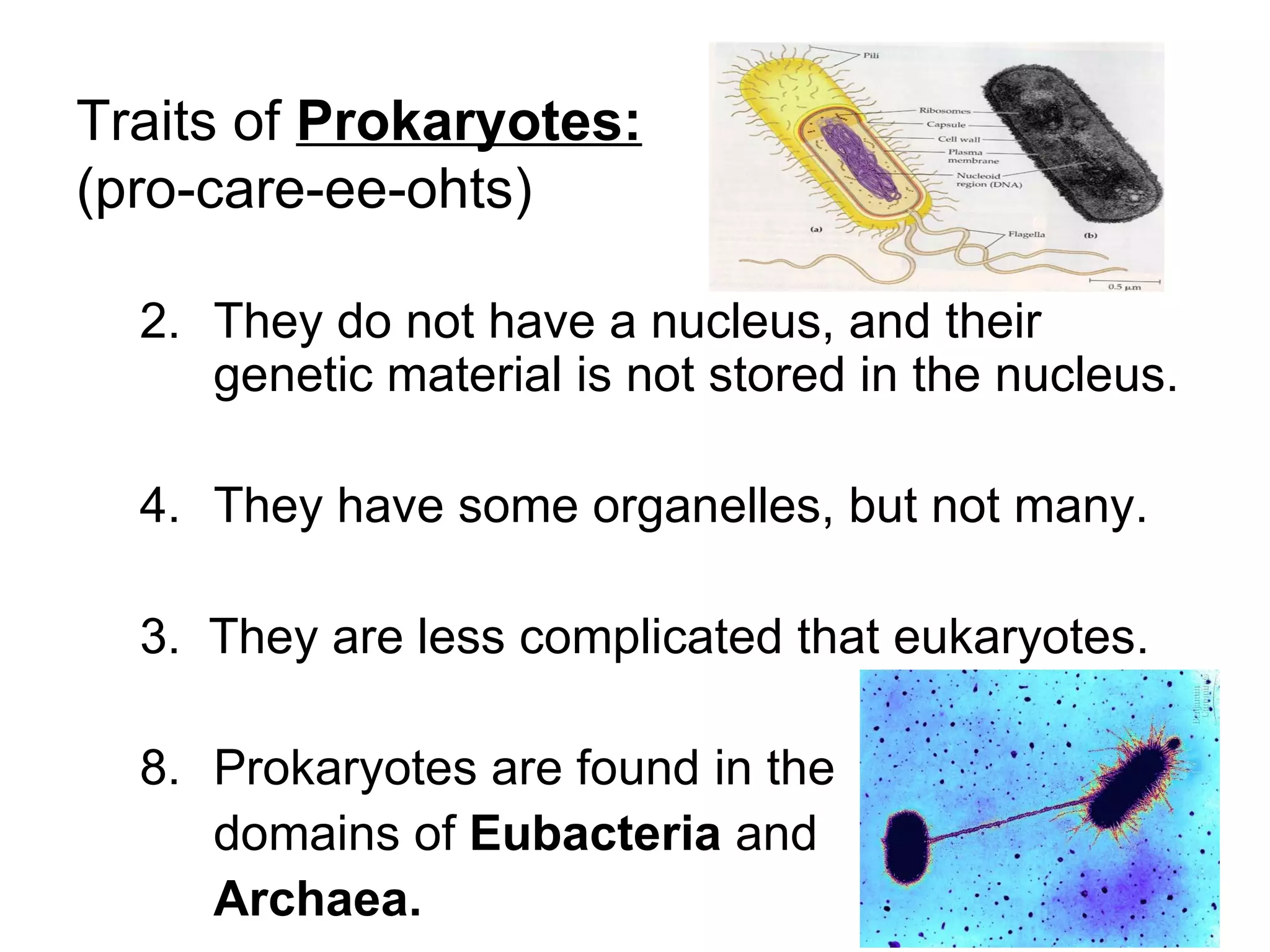 Traits of Prokaryotes:
(pro-care-ee-ohts)

  2. They do not have a nucleus, and their
     genetic material is not stored in the nucleus.

  4. They have some organelles, but not many.

  3. They are less complicated that eukaryotes.

  8. Prokaryotes are found in the
     domains of Eubacteria and
     Archaea.
 