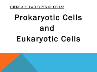 Two types-of-cells-1207241309549229-9 | PPT