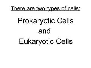 Two Types Of Cells - Eukaryotic and Prokaryotic Cells | PPT