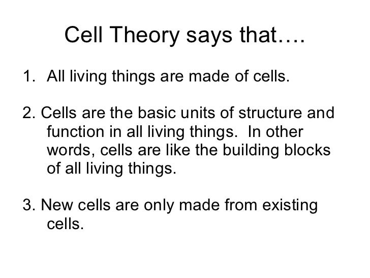 Description and analysis of the cell theory